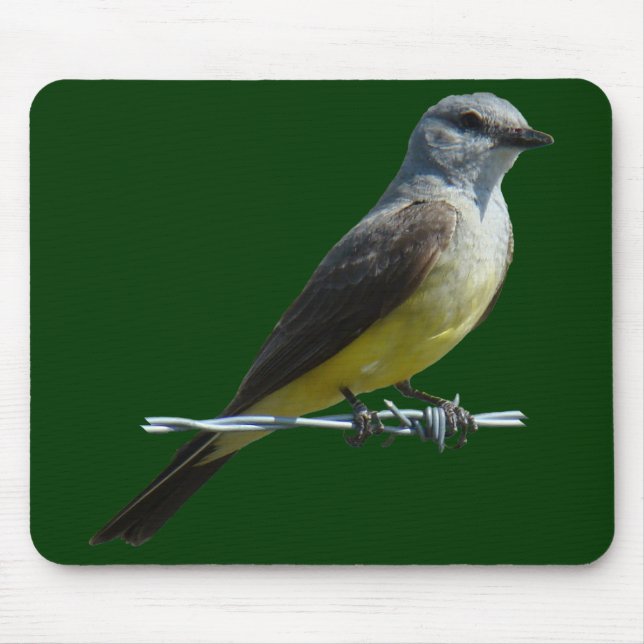 B45 Western Kingbird Mouse Mat (Front)