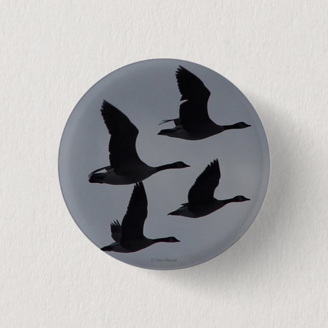 B46 Canadian Geese in Flight 3 Cm Round Badge (Front)