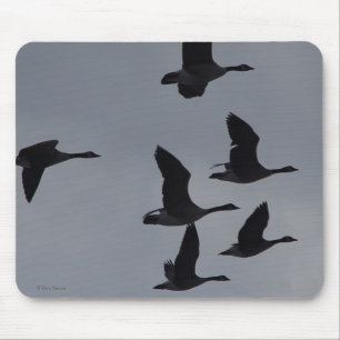 B46 Canadian Geese in Flight Mouse Mat