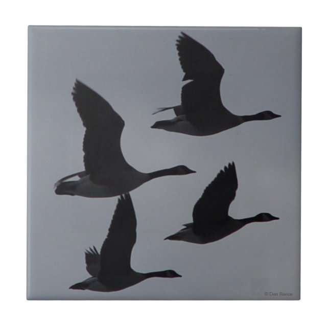 B46 Canadian Geese in Flight Tile (Front)