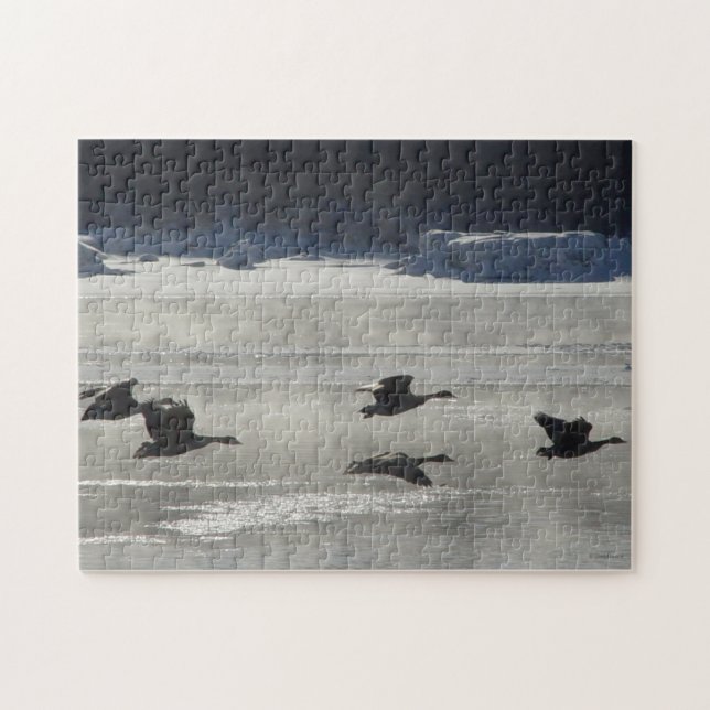 B47 Canadian Geese Over Frozen River Jigsaw Puzzle (Horizontal)