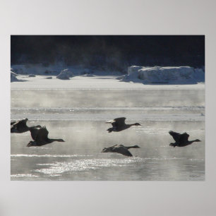 B47 Canadian Geese Over Frozen River Poster