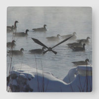 B49 Canadian Geese on Frozen River