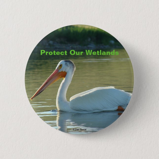 B4 White Pelican 6 Cm Round Badge (Front)