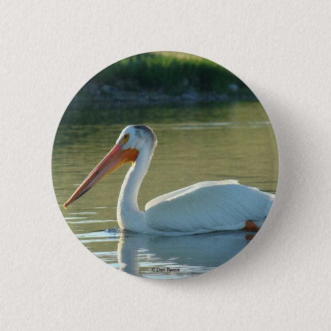 B4 White Pelican 6 Cm Round Badge (Front)