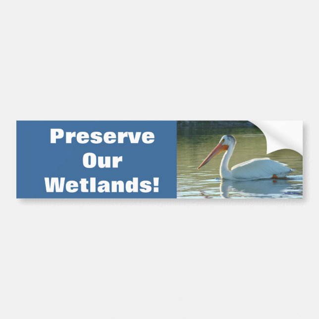 B4 White Pelican Bumper Sticker (Front)