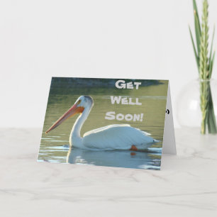 B4 White Pelican Card