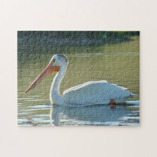 B4 White Pelican Jigsaw Puzzle
