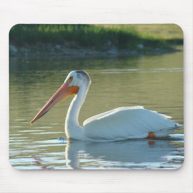 B4 White Pelican Mouse Mat (Front)