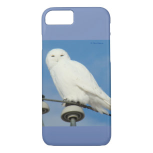 B50 Snowy Owl iPhone 8/7 Case