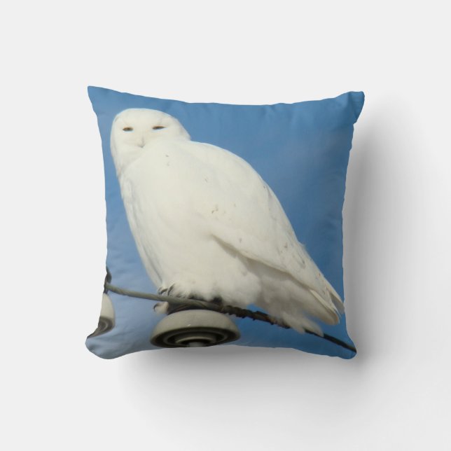 B50 Snowy Owl Cushion (Front)