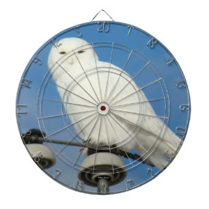 B50 Snowy Owl Dartboard
