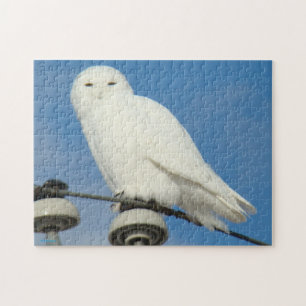 B50 Snowy Owl Jigsaw Puzzle