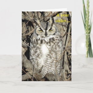 B51 Great Horned Owl Card