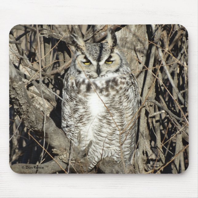 B51 Great Horned Owl Mouse Mat (Front)