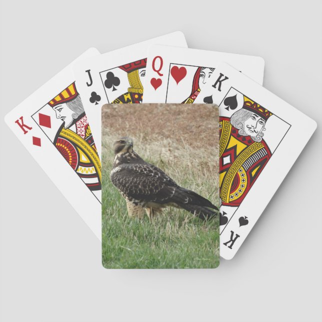 B52 Swainson's Hawk Playing Cards (Back)