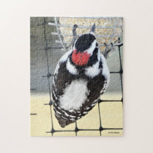 B53 Downy Woodpecker Jigsaw Puzzle