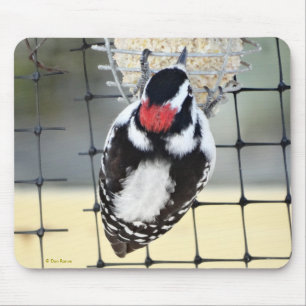 B53 Downy Woodpecker Mouse Mat