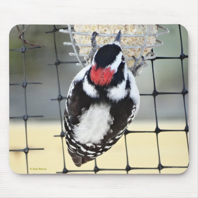 B53 Downy Woodpecker Mouse Mat (Front)