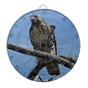 B54 Swainson's Hawk Dartboard