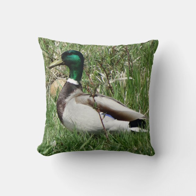 B55 Mallard Duck Drake Greenhead in the Grass Cushion (Front)