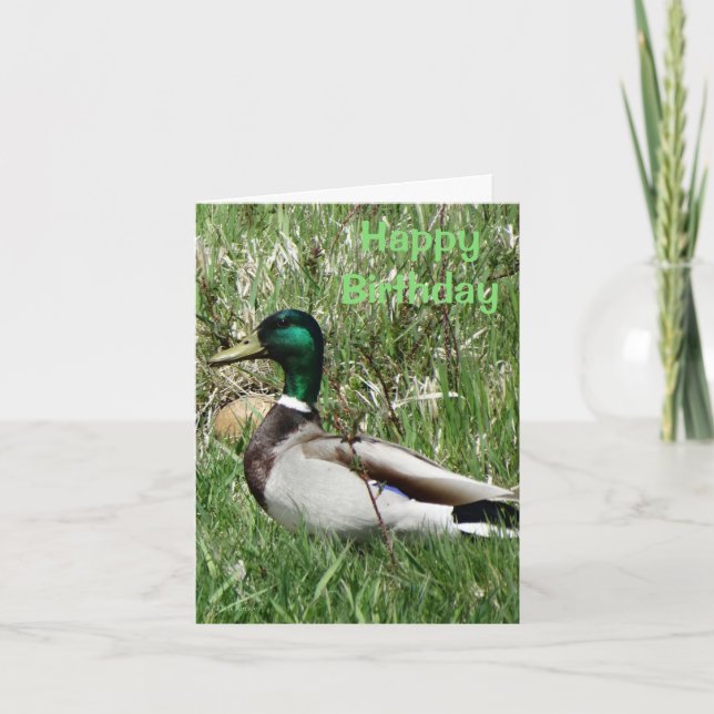 B55 Mallard Duck Drake Greenhead in the Grass Holiday Card (Front)