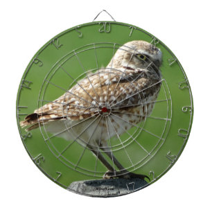 B56 Burrowing Owl Dartboard