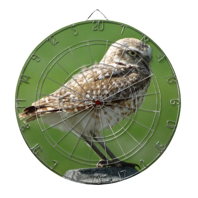 B56 Burrowing Owl Dartboard (Front)
