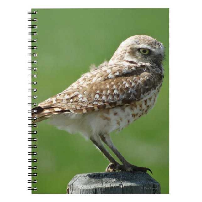 B56 Burrowing Owl Notebook (Front)