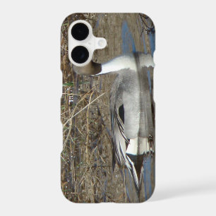 B5 Pintail Duck Drake