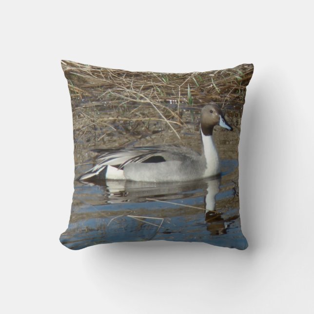 B5 Pintail Duck Drake Cushion (Front)