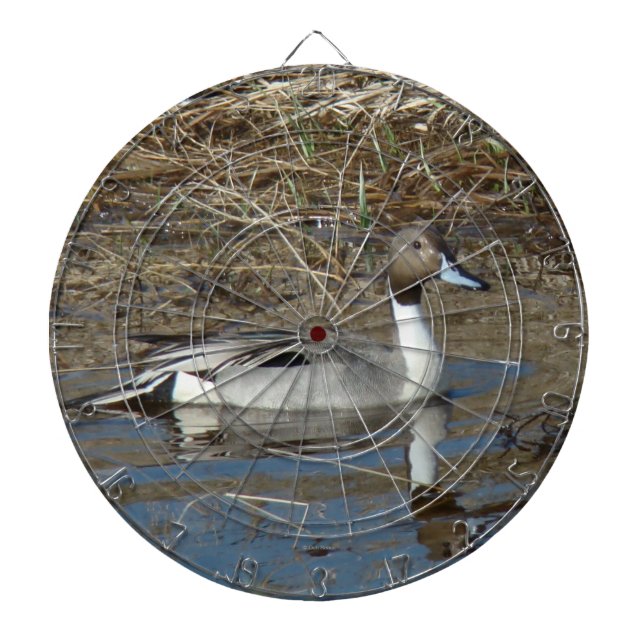 B5 Pintail Duck Drake Dartboard (Front)