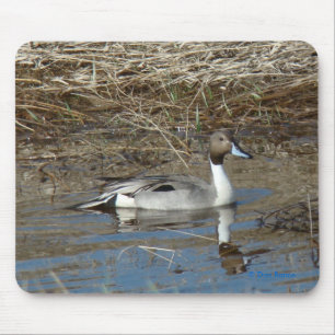 B5 Pintail Duck Drake Mouse Mat