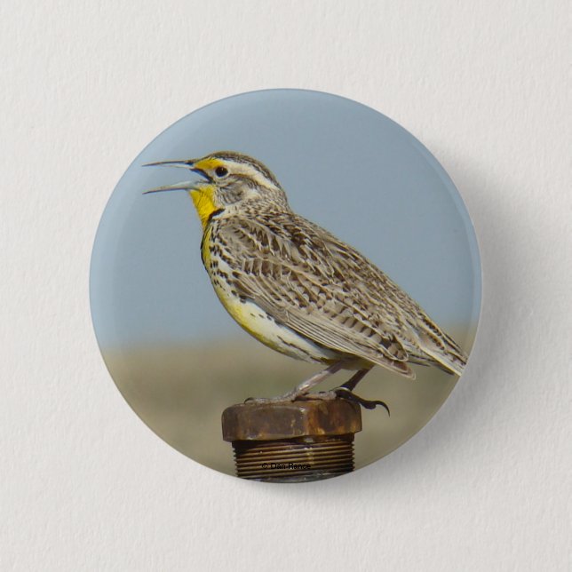 B6 Western Meadowlark 6 Cm Round Badge (Front)