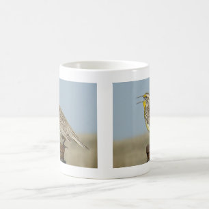 B6 Western Meadowlark Coffee Mug
