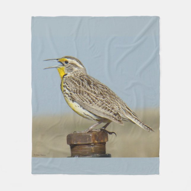 B6 Western Meadowlark Fleece Blanket (Front)