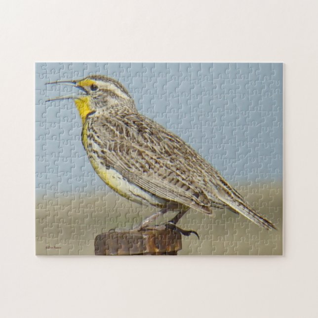 B6 Western Meadowlark Jigsaw Puzzle (Horizontal)