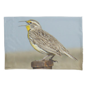 B6 Western Meadowlark Pillowcase