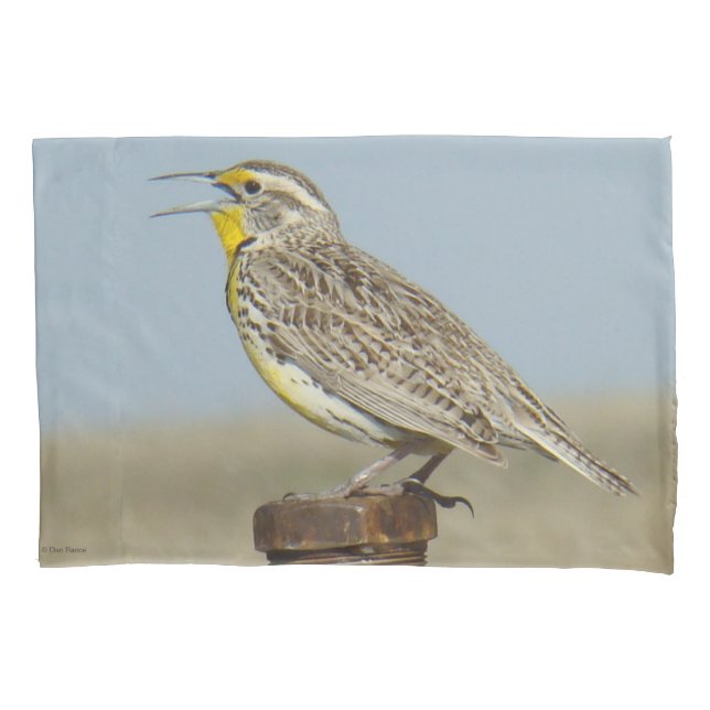 B6 Western Meadowlark Pillowcase (Front)