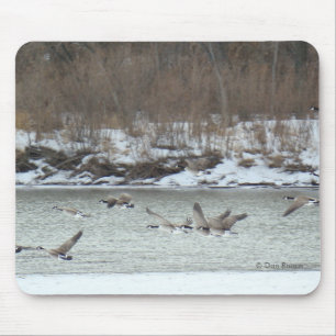 B7 Canadian Geese in Flight Mouse Mat