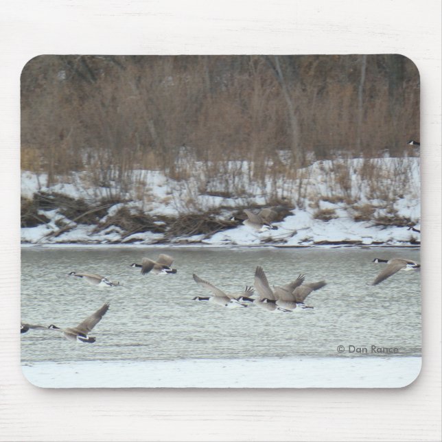 B7 Canadian Geese in Flight Mouse Mat (Front)