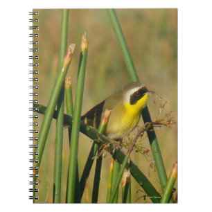 B9 Common Yellowthroat Notebook