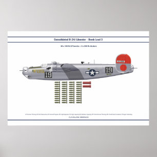 B-24 Load 3 Poster