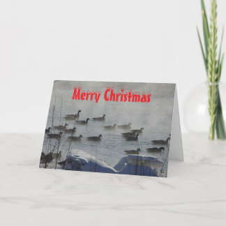 B 49 Canada Geese on Foggy River Christmas Card