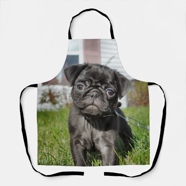 B;ack Pug puppy Apron (Front)