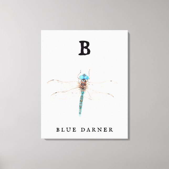 "B" Blue Darner  Canvas Print (Front)