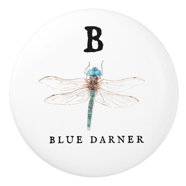 "B" Blue Darner  Ceramic Knob (Front)