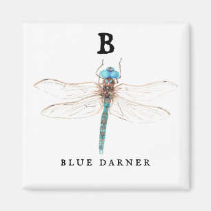 "B" Blue Darner Magnet