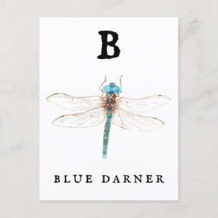 "B" Blue Darner Postcard