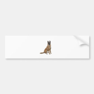 B elgian Malinois (A) Bumper Sticker